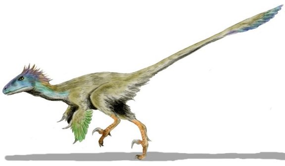 Utahraptor ostrommaysorum - Prehistoric Animals