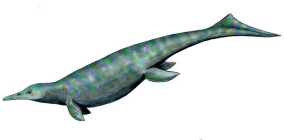 Utatsusaurus hataii - Prehistoric Animals