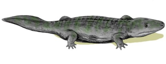 Watsonichus madagascariensis - Prehistoric Animals