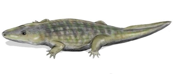 Wetlugasaurus angustifrons - Prehistoric Animals