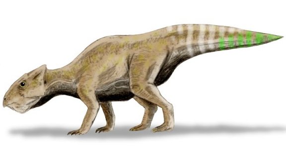 Yamaceratops dorngobiensis - Prehistoric Animals