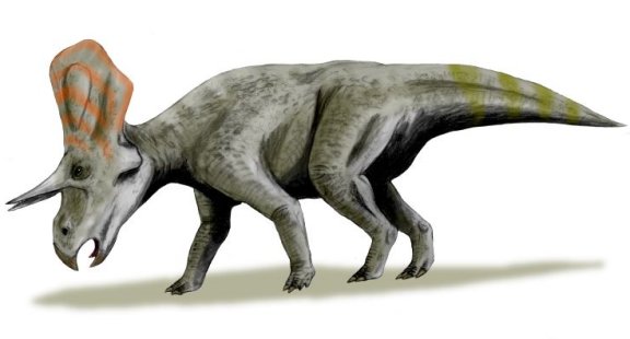 Zuniceratops christopheri - Prehistoric Animals