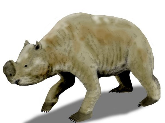 Zygomaturus trilobus - Prehistoric Animals