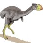 Dromornis