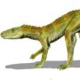 Hesperosuchus gracilis