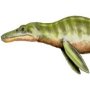 Liopleurodon ferex