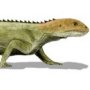 Mesosuchus browni