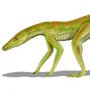 Terrestrisuchus gracilis